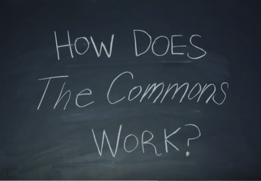How Does The Commons Work? Our new animation elaborates on David Bollier’s next system
